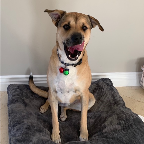 Meet your Posher, Marianne - Picture 1 of 1